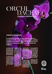 Orchidée affiche